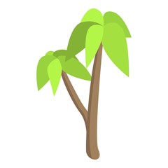 Palm tree icon. Isometric of palm tree vector icon for web design isolated on white background