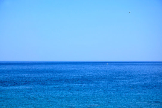 日本海　太平洋　水平線