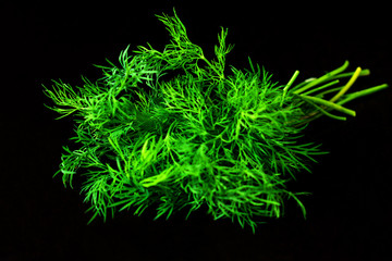  A bunch of dill on a black background