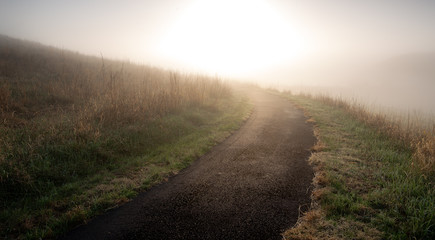 Fototapeta na wymiar Path into the Fog