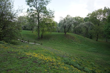 path in the park