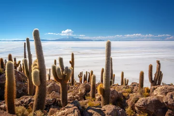 Fotobehang Cactussen op het eiland Incahuasi, de zoutvlakte van Salar de Uyuni, Potosi, Bolivia © Delphotostock
