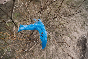 Blue plastic bag hanging on a bush