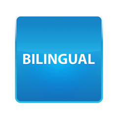 Bilingual shiny blue square button