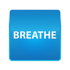 Breathe shiny blue square button