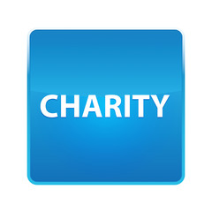 Charity shiny blue square button