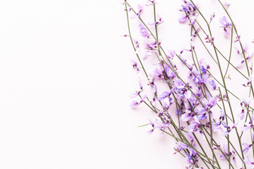 Obraz premium Flowers composition. Pink flowers on pink background. Easter, spring concept. Greeting card.