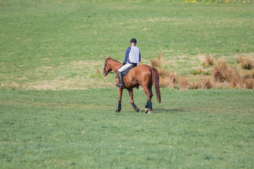 portrait of horse and rider losing eventing competition