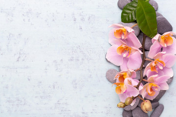 Orchid beauty flowers on vintage background. Spa background, spa therapy, beauty. Spa treatment.