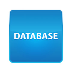 Database shiny blue square button