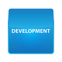 Development shiny blue square button
