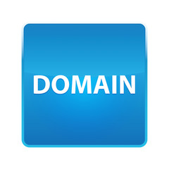 Domain shiny blue square button