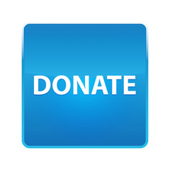 Donate shiny blue square button