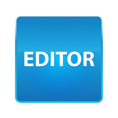 Editor shiny blue square button