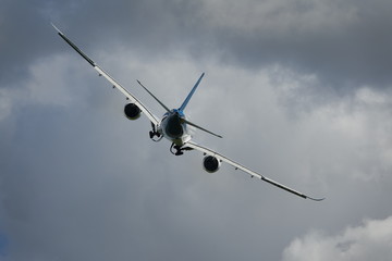 avion de ligne artistique