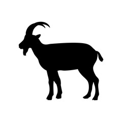 Billy goat mammal black silhouette animal. Vector Illustrator.