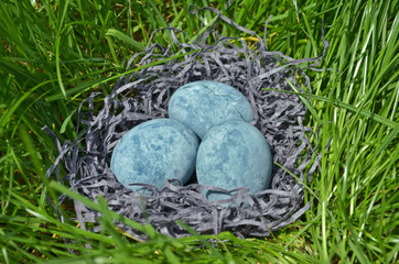 Three blue eggs, painted in tea hibiscus, lie in hay on the grass, like a dragon eggs and marble, side view closeup