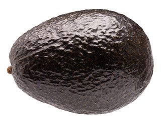avocado isolated on a white background