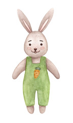 Bunny in green pants