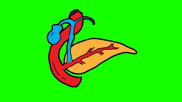kids drawing green screen with theme of pancreas