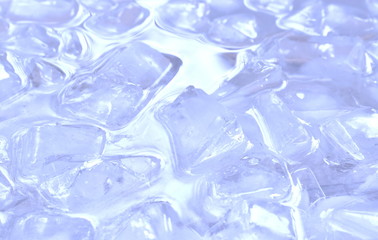 ice cube floating on water in plastic tray