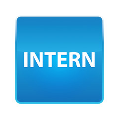 Intern shiny blue square button
