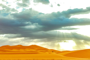 Fototapeta na wymiar Beautiful sand dunes at sunrise in the Sahara Desert. Morocco