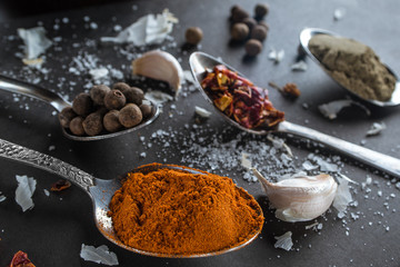 Colorful spices in spoons on dark background 