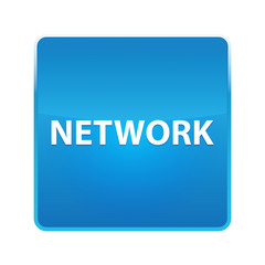 Network shiny blue square button