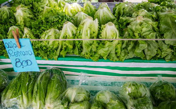 Barraca de feira livre no Brasil vendendo varios legumes.