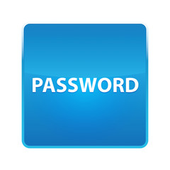 Password shiny blue square button
