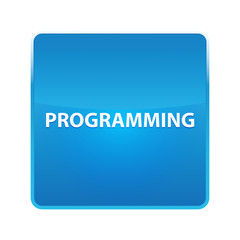 Programming shiny blue square button