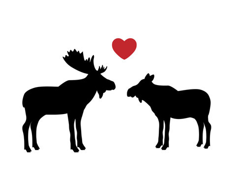 Elk moose love mammal black silhouette animal. Vector Illustrator