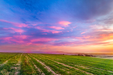 Fototapeta na wymiar red sunset clouds over fresh green field with grass