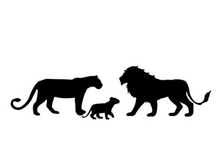 Lions family predator black silhouette animal. Vector Illustrator.