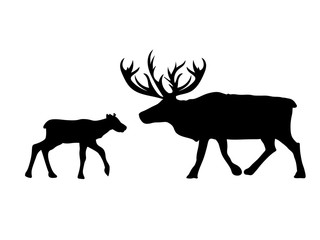 Deer northern and baby reindeer black silhouette animal. Vector Illustrator.