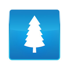 Evergreen conifer pine tree icon shiny blue square button