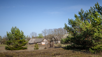 Fototapeta na wymiar Abandoned little house overgrown with blooming trees and bush in Belarus Chernobyl exclusion zone, recently opened for the public from april 2019.