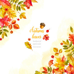 Autumn leaves. Watercolor illustrations