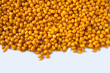 Sea-buckthorn background. Ripe and fragrant sea-buckthorn. Sea-buckthorn on white background.