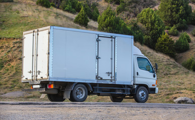 Truсk moves along the country road