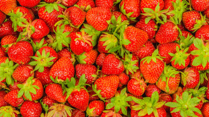 just fresh red strawberries with green leaves