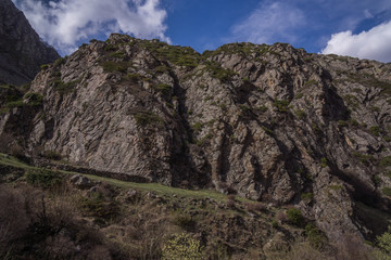 Fototapeta premium kazbegi national park in caucasus