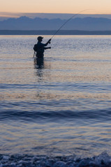 A fisherman caught a fish in the Puget Sound gulf