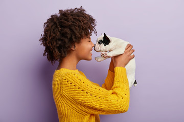 Sideways shot of cheerful Afro American woman plays with sweety black and white french bulldog puppy, touch small nose, likes animals, has playful mood, wears casual yellow jumper. Beloved pet