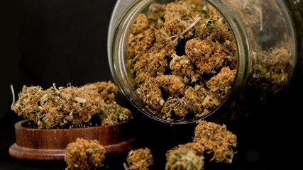 Cannabis Marijuana Buds in Black Background Weed Buds