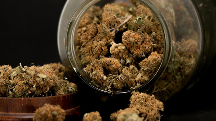 Cannabis Marijuana Buds in Black Background Weed Buds