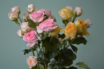 Gift bouquet of white, pink and yellow roses for birthday