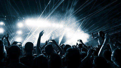 Back view of music fans having fun in front of stage during live performance.