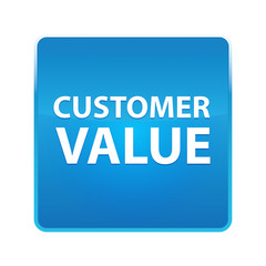 Customer Value shiny blue square button